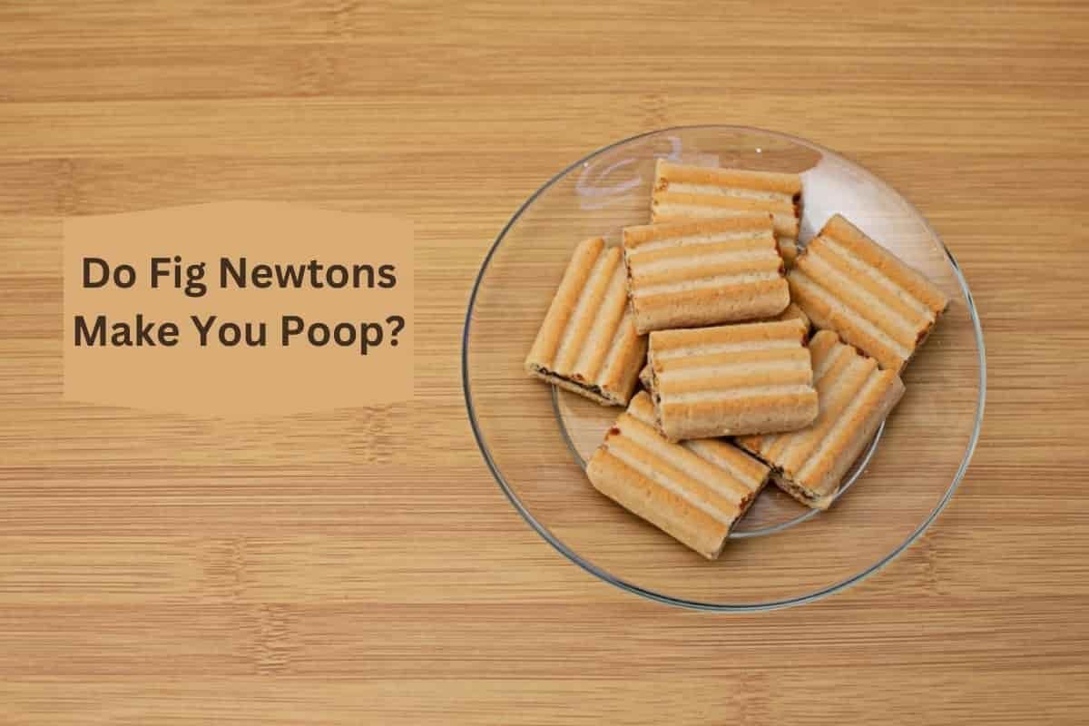 Do Fig Newtons Make You Poop