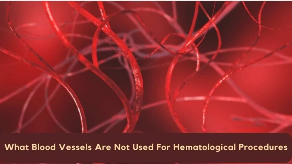 What Blood Vessels Are Not Used For Hematological Procedures
