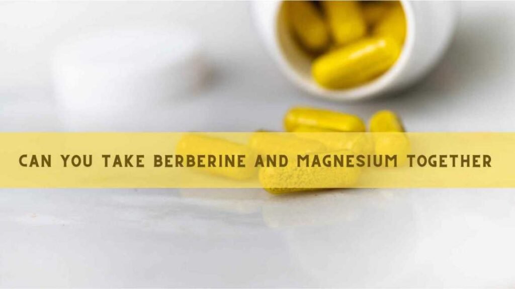 Can You Take Berberine And Magnesium Together