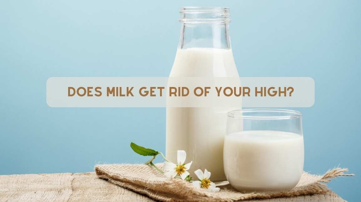 Does Milk Get Rid of Your High