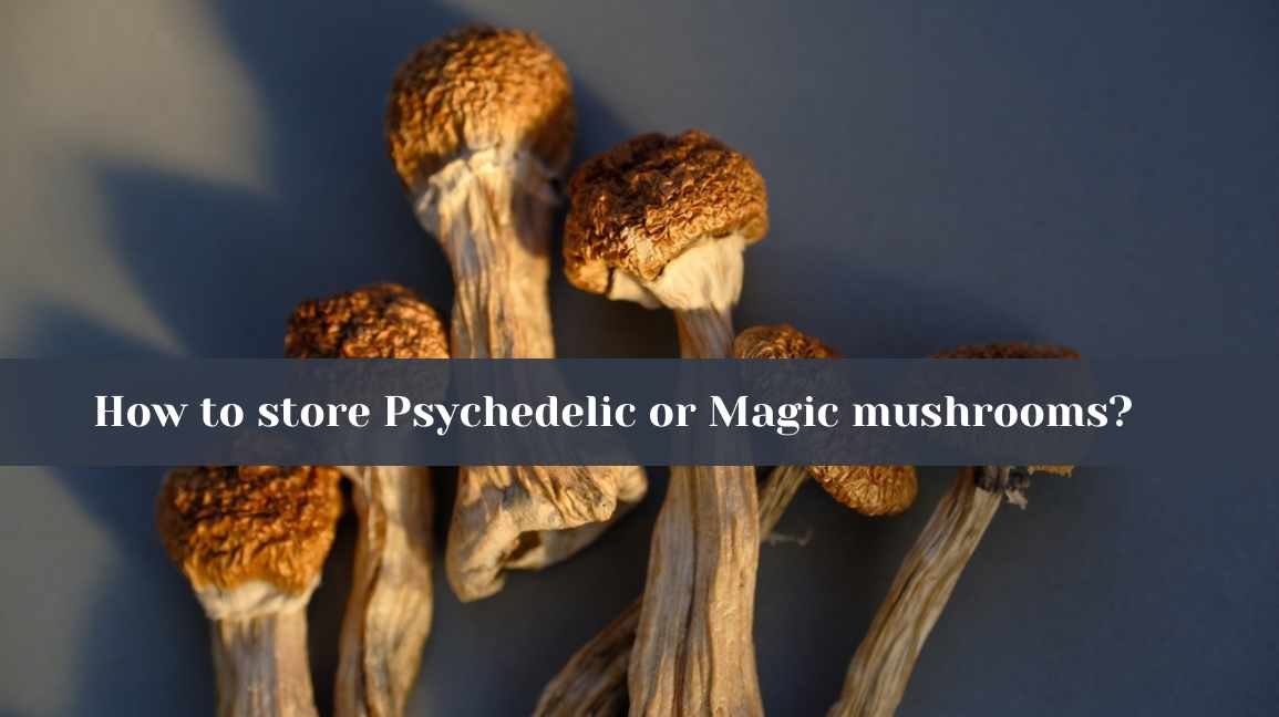 9 Incredible Methods to Store Psychedelic Mushrooms?