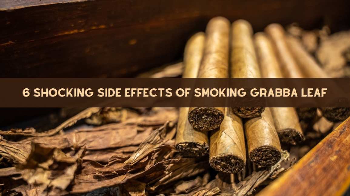 Side Effects of Smoking Grabba Leaf