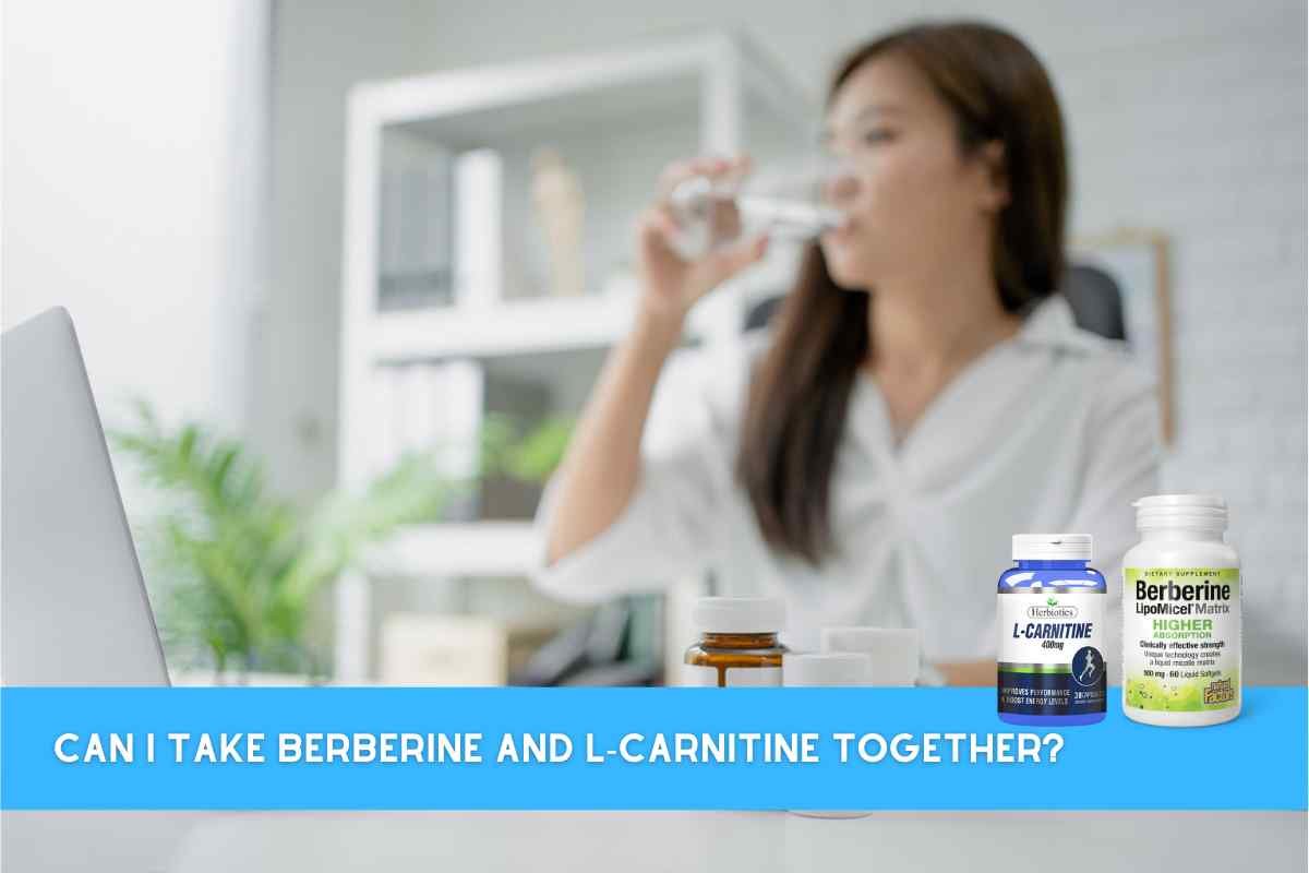 berberine and l carnitine