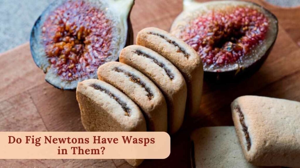 Do Fig Newtons Have Wasps in Them