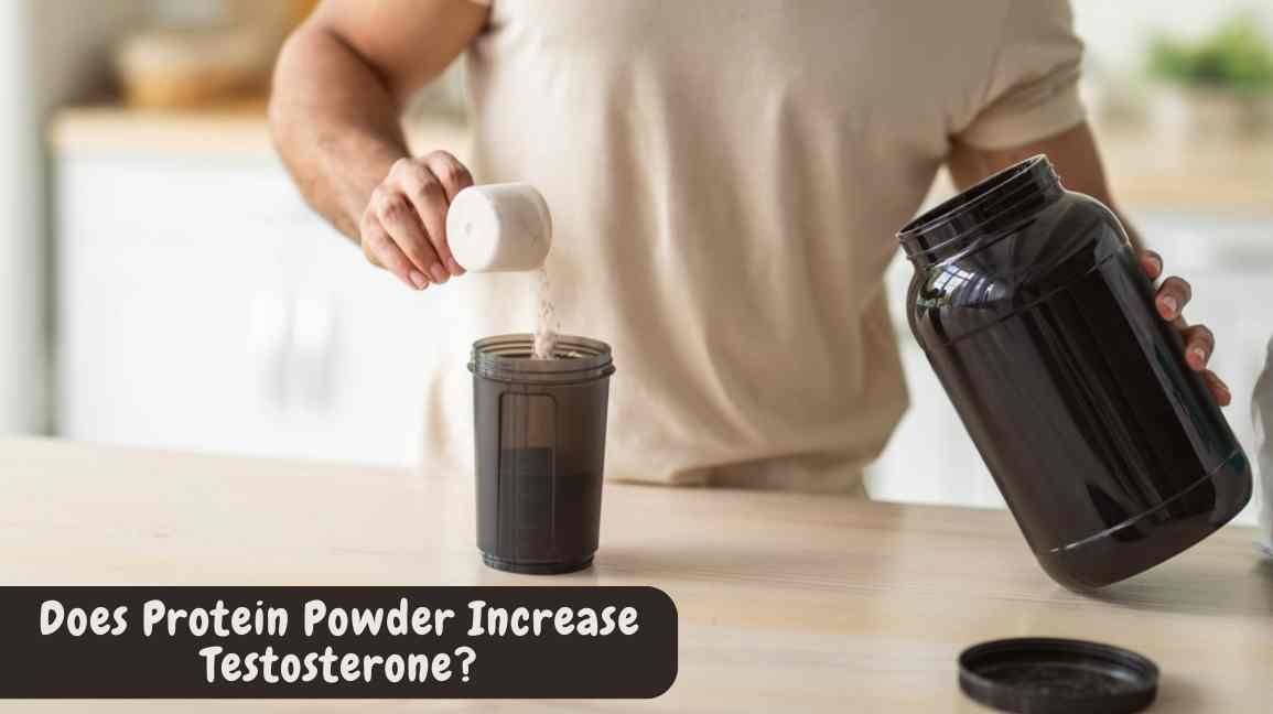 Does Protein Powder Increase Testosterone