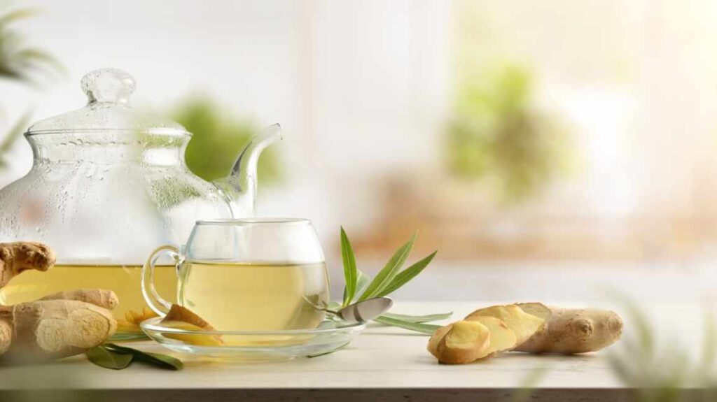 The 5 Best Natural Drinks for Weight Loss That You Need to Try